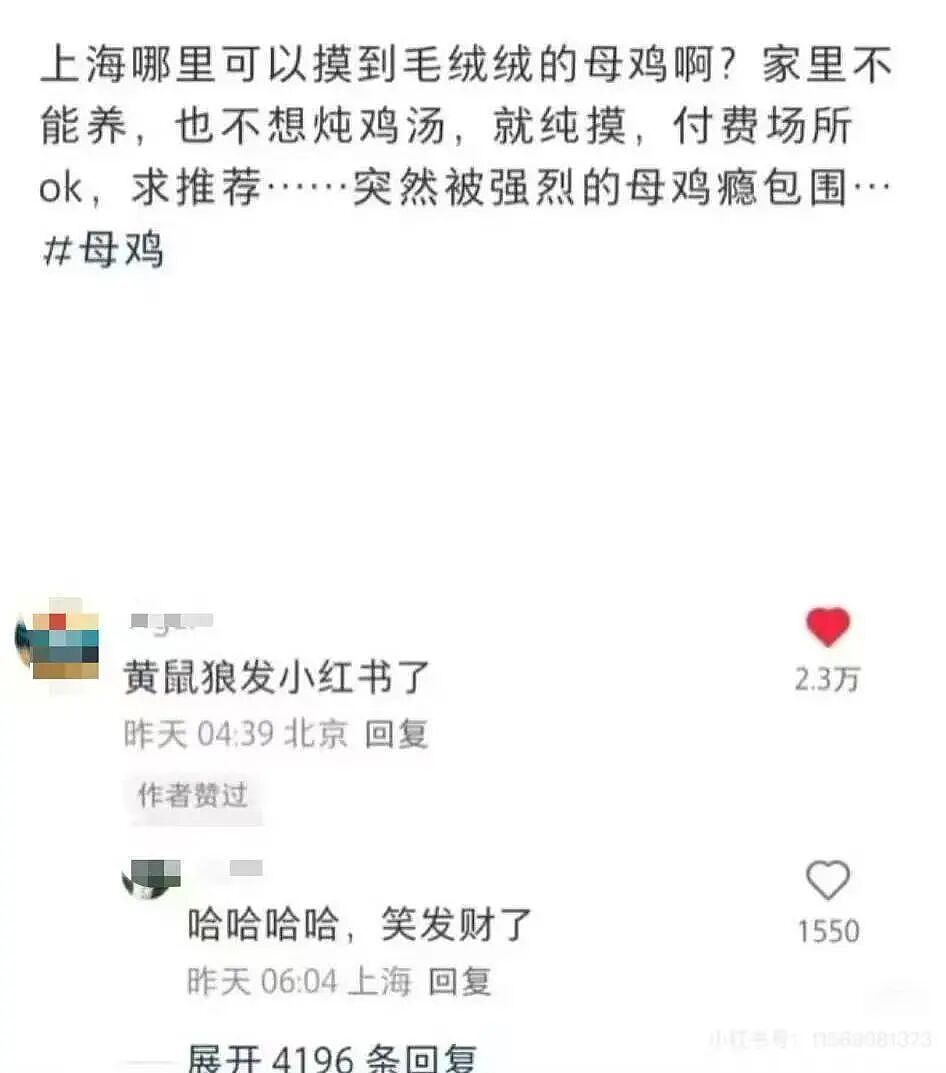 【爆笑】“因为一顿海底捞被朋友做局了?”到吃不起一顿饭的地步了吗(组图) - 88