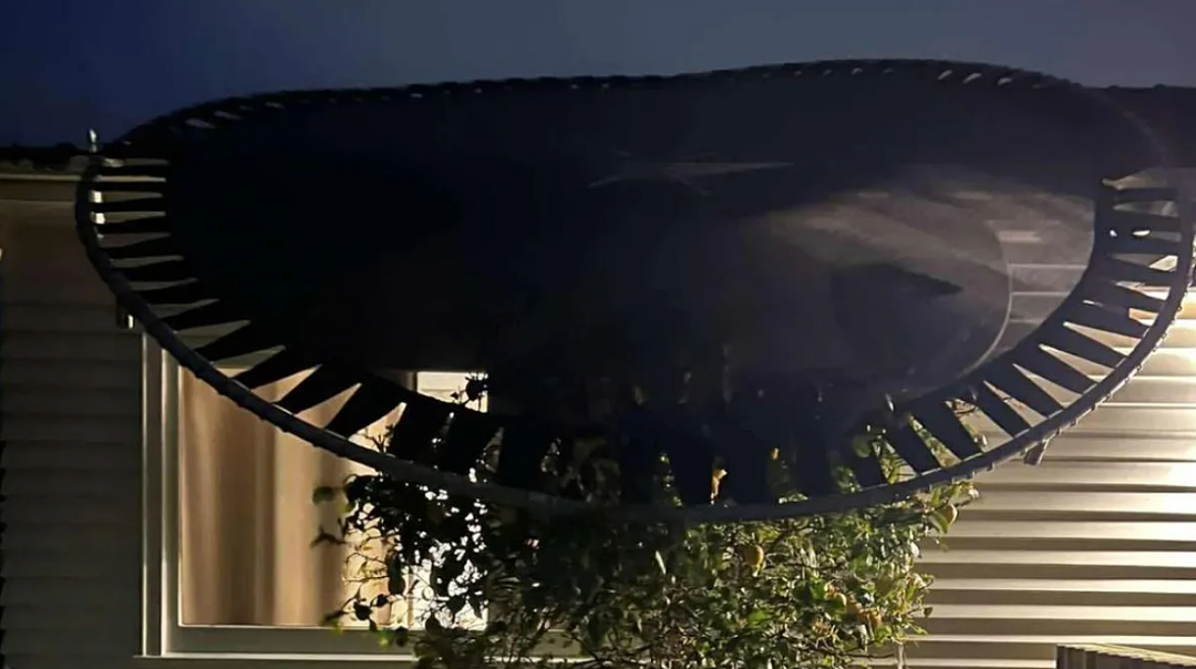 奥克兰北岸商铺遭持械抢劫，两名青少年被捕；西区凌晨惊险追车，都是8名12至15岁少年（组图） - 5