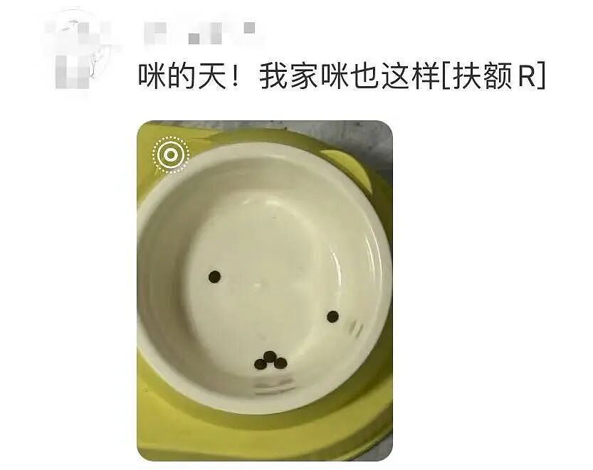 【爆笑】“因为一顿海底捞被朋友做局了?”到吃不起一顿饭的地步了吗(组图) - 35