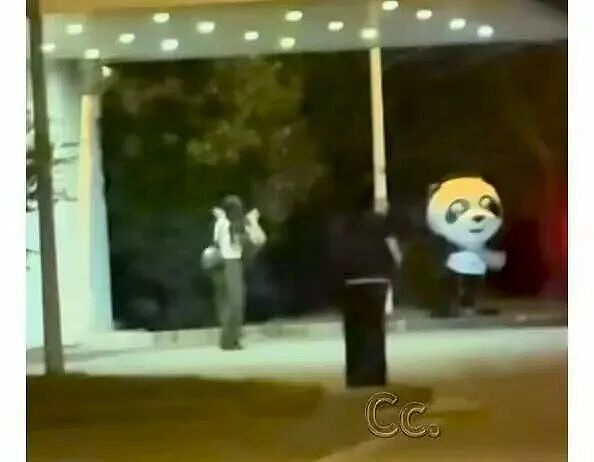 虞书欣真疯了？被揭穿“假粉丝”摆拍，精神状态成谜（组图） - 2