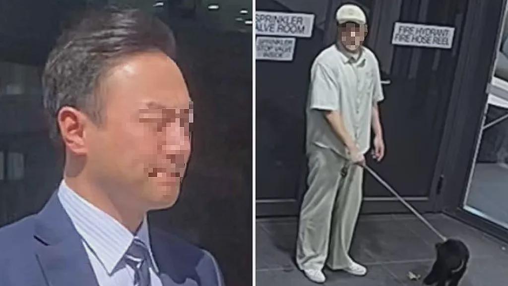 往墙上猛摔后又踢打，虐待前女友宠物狗的澳洲华人男子被定罪（组图） - 2