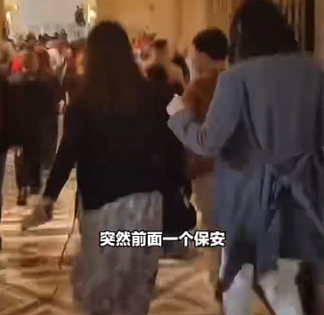 罗浮宫抢案！馆内众人狂奔离场画面曝，大陆客吓：保全大喊快跑（视频/组图） - 3