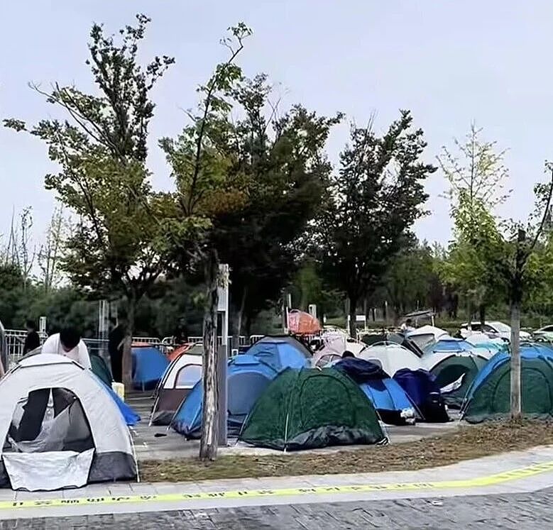帐篷大酒店,收留了多少不想被割的年轻人(组图) - 1