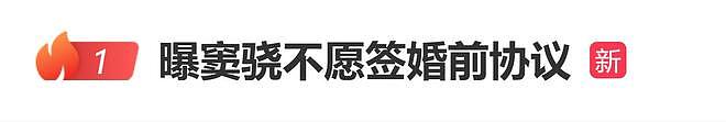 曝窦骁不愿签婚前协议，协议网传长达28页，要求财产完全隔离（组图） - 1