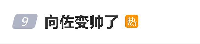 向佐摒弃“抽象美学”路线？近况曝光：西装笔挺，发型利落（组图） - 1