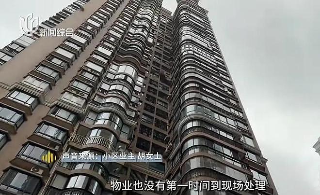 太吓人!上海有人私挖地面达半米,现场传来挖掘机声!33层上百名业主彻底慌了(组图) - 4