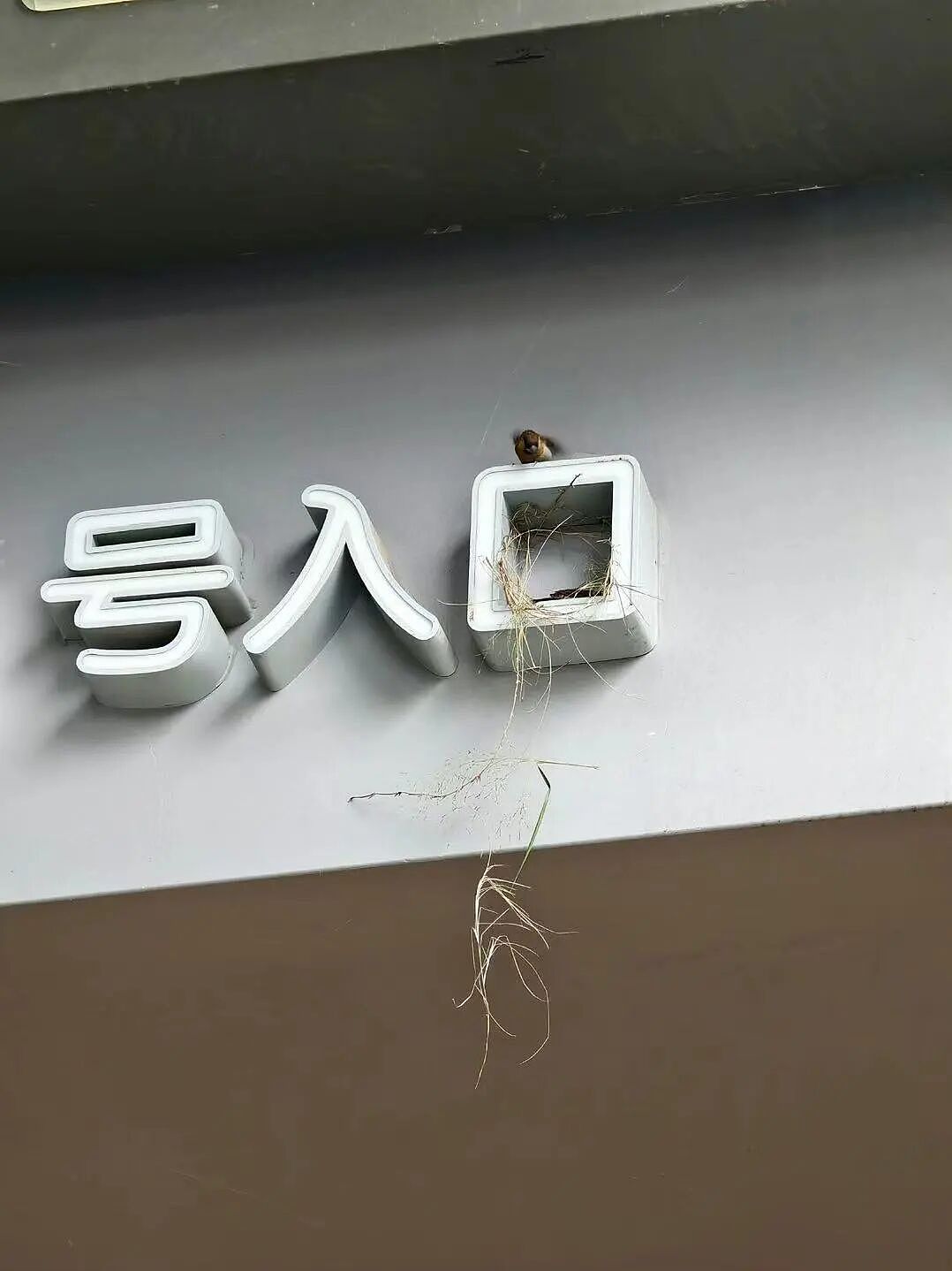 【爆笑】当留子网购想贪点小便宜时…啊啊啊评论区教训让人太深刻了（组图） - 27