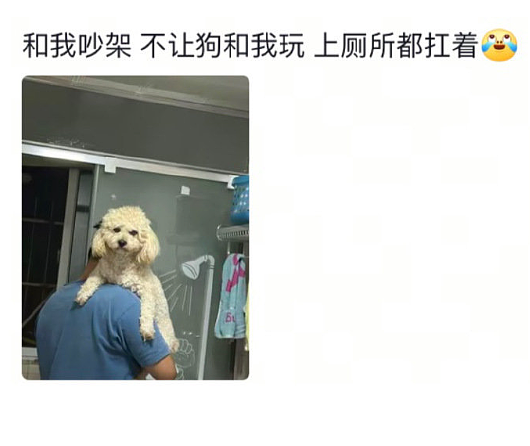 【爆笑】黄宗泽被有钱人开价5亿元要和他结婚?网友的评论夺笋啊(视频/组图) - 45