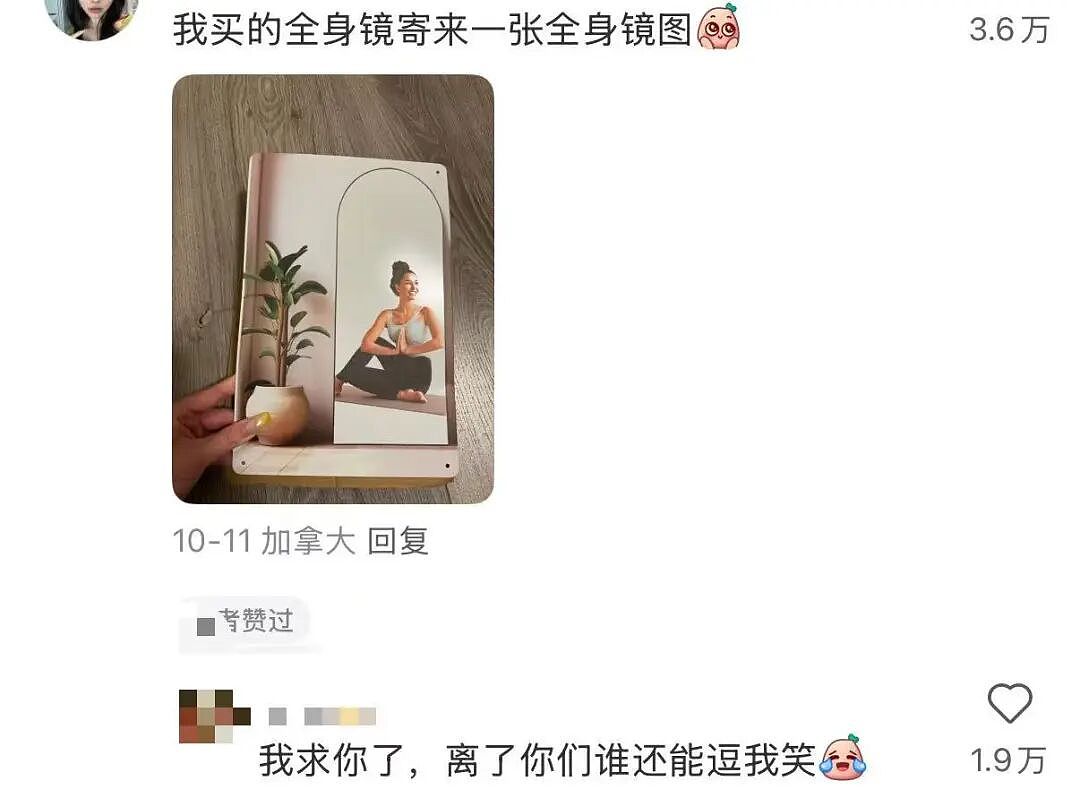 【爆笑】当留子网购想贪点小便宜时…啊啊啊评论区教训让人太深刻了（组图） - 16