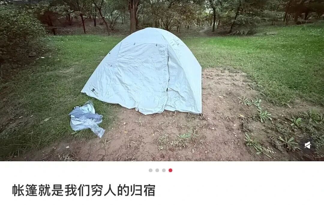 帐篷大酒店,收留了多少不想被割的年轻人(组图) - 5
