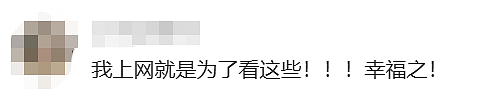 视频疯传！上海女生在国外丢失手机，找回后相册里竟出现这样的画面…（视频/组图） - 10