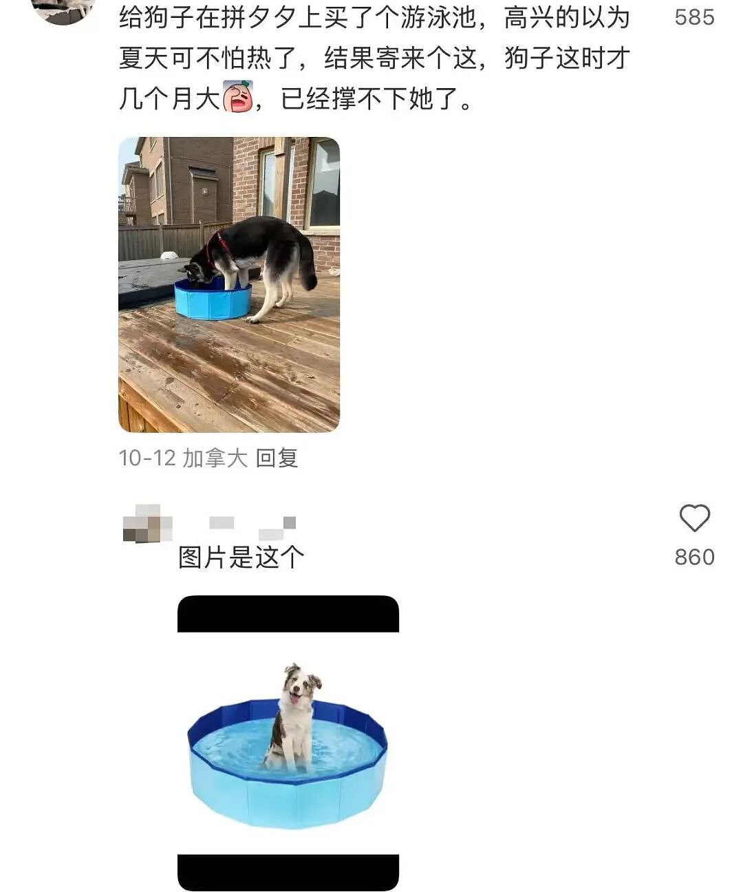 【爆笑】当留子网购想贪点小便宜时…啊啊啊评论区教训让人太深刻了（组图） - 13