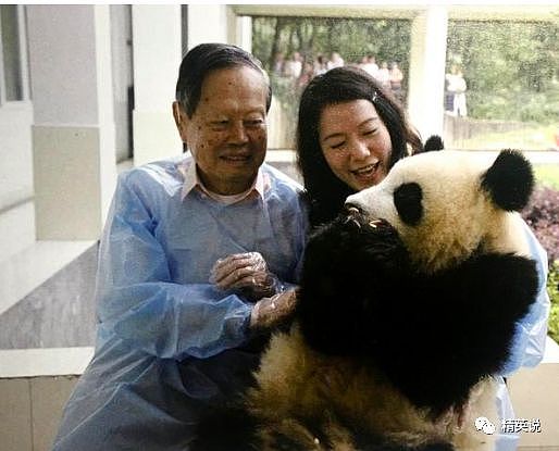 21年婚姻路，送别杨振宁，翁帆还好吗？（组图） - 20