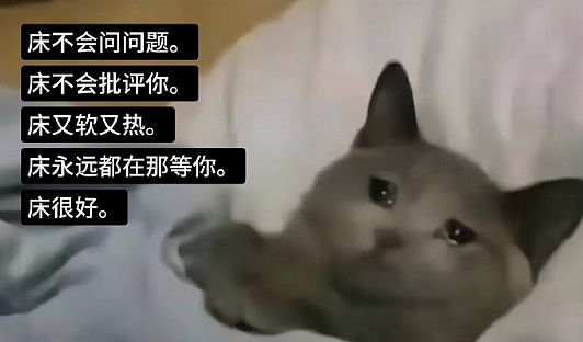 【爆笑】黄宗泽被有钱人开价5亿元要和他结婚?网友的评论夺笋啊(视频/组图) - 28
