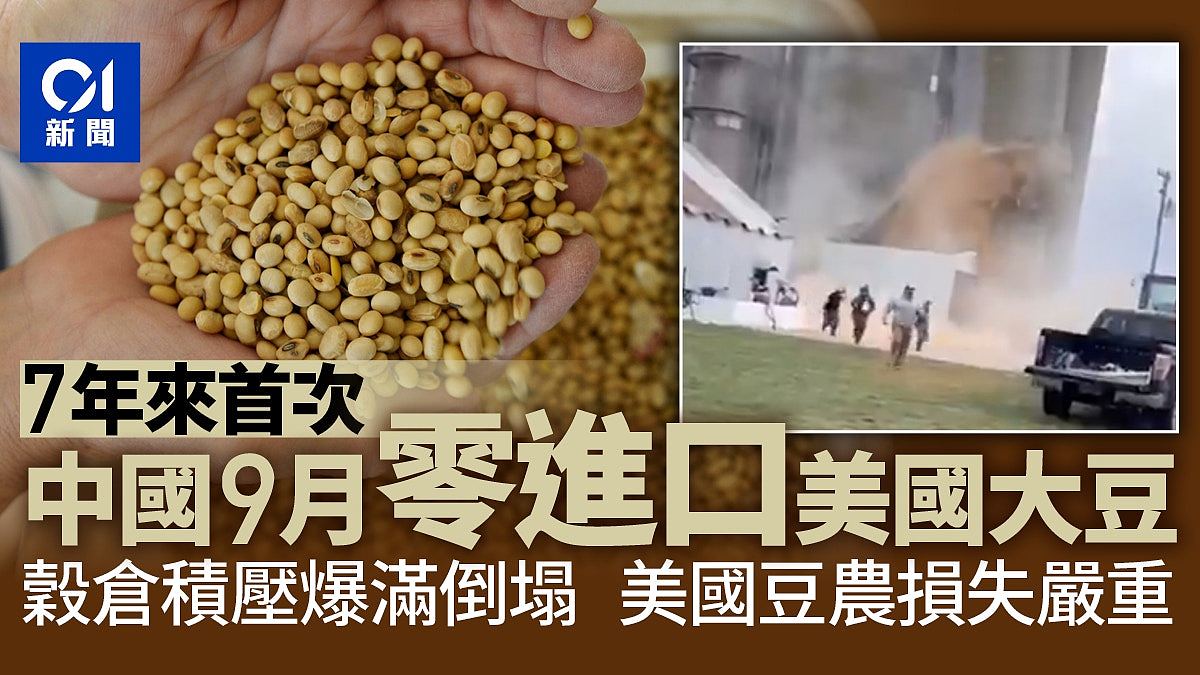 中国9月进口大豆数为零美国谷仓积压倒塌,豆粒喷涌而出影片曝光(视频/组图) - 1