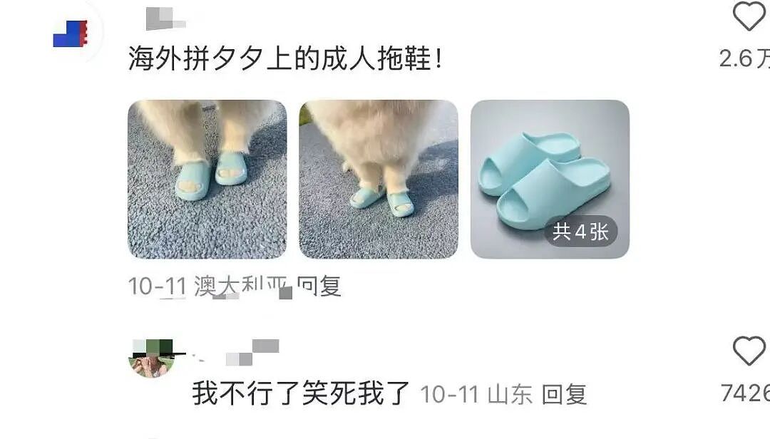 【爆笑】当留子网购想贪点小便宜时…啊啊啊评论区教训让人太深刻了（组图） - 6