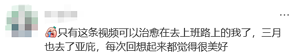 视频疯传！上海女生在国外丢失手机，找回后相册里竟出现这样的画面…（视频/组图） - 12