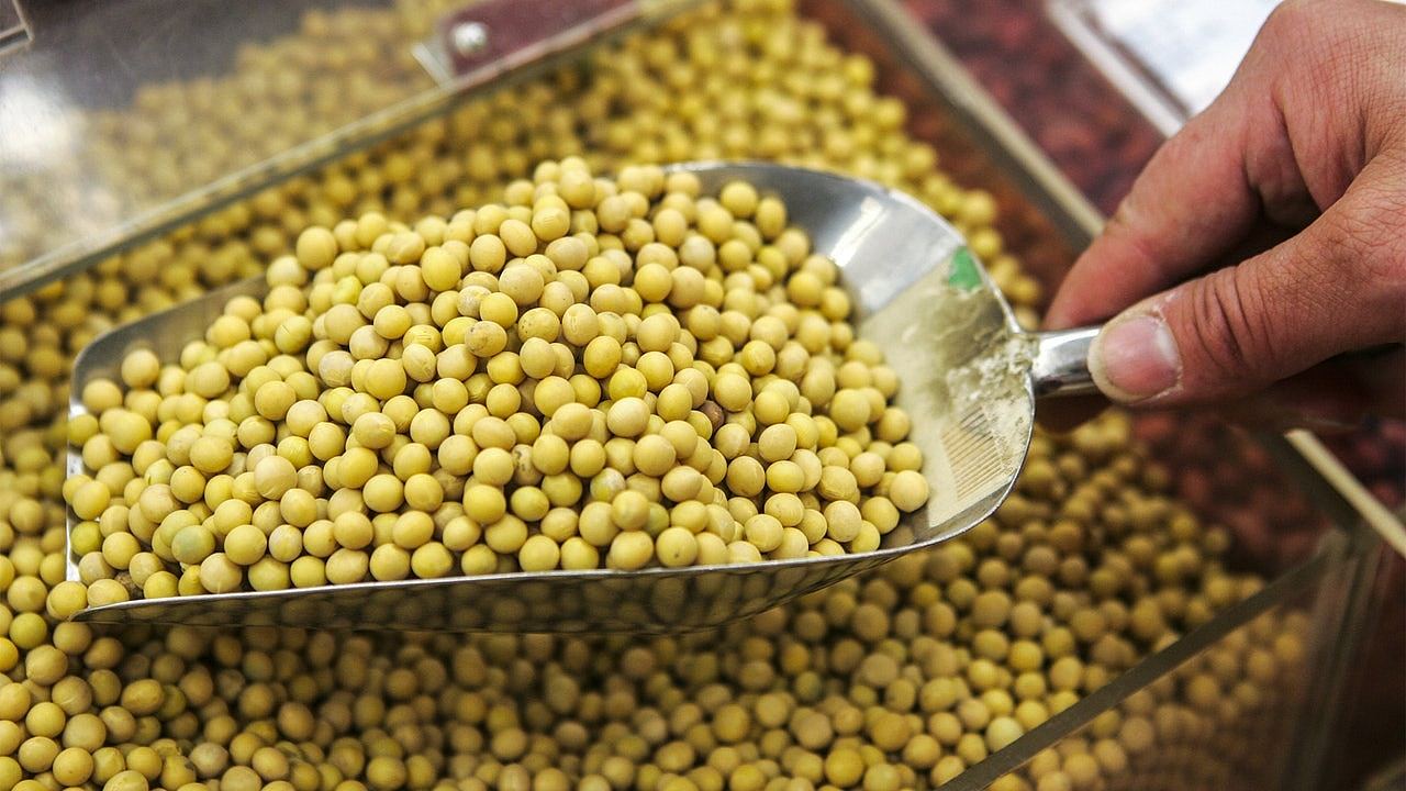 中国9月进口大豆数为零美国谷仓积压倒塌,豆粒喷涌而出影片曝光(视频/组图) - 2