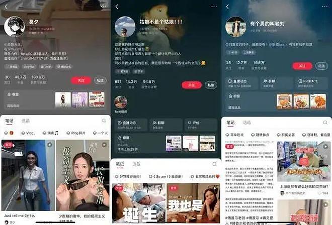 知名女演员老公被曝行贿近千万,受贿者获刑10年半,其参与的综艺宣布:停更(组图) - 13