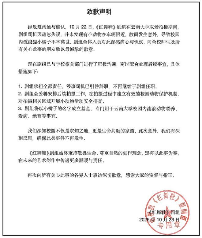 《红舞鞋》风波升级！用脚踩烈士纪念碑还撞死猫，劣迹斑斑遭抵制（组图） - 3