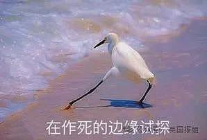 实锤？马斯克的14个娃，是基因筛选过的“超级婴儿”（组图） - 11