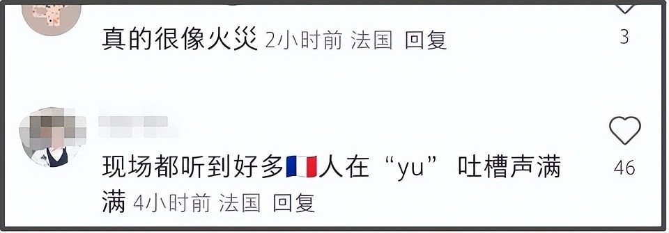 蔡国强烟花遭法国人抗议，现场嘘声一片，官方被抵制商业活动取消（组图） - 11