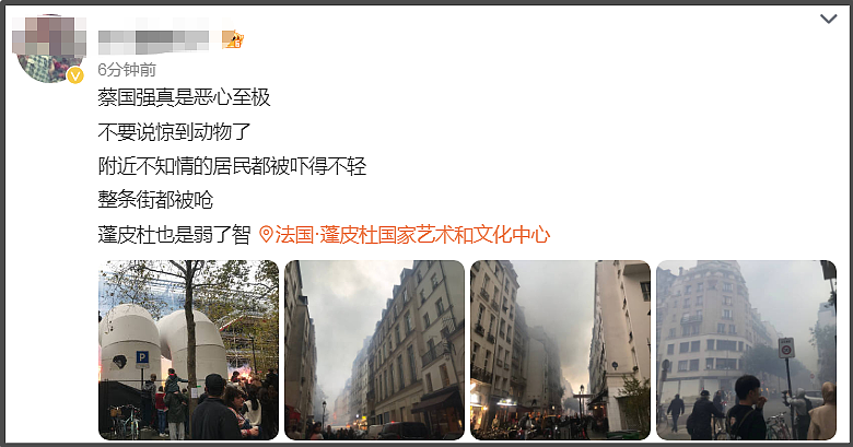 蔡国强烟花遭法国人抗议，现场嘘声一片，官方被抵制商业活动取消（组图） - 6