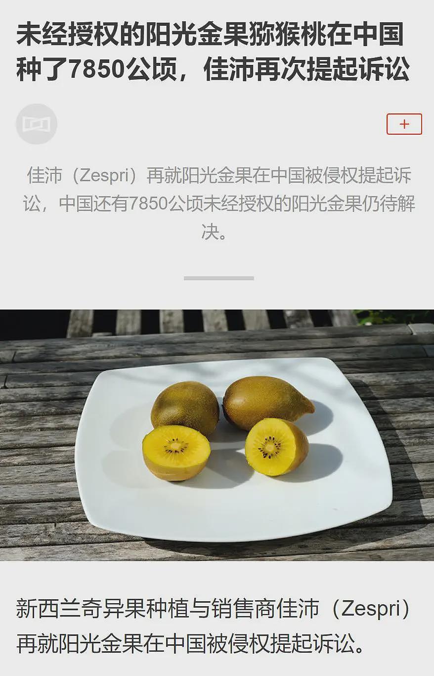 中国农民偷走新西兰“摇钱树”，判赔500多万！网民不服：明明他们先偷（组图） - 2