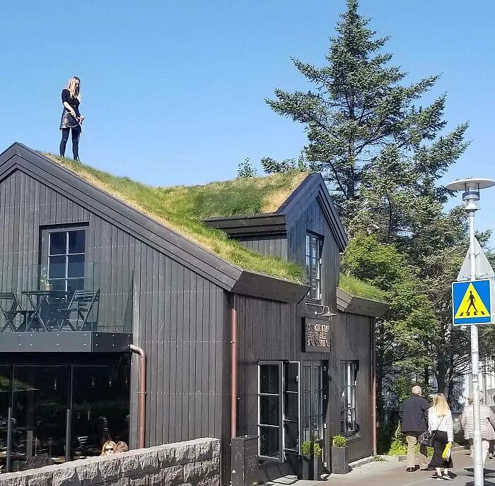 冰岛首度被发现蚊子，“世界净土“沦陷了？然而这个国家，真的很美好啊...（组图） - 22
