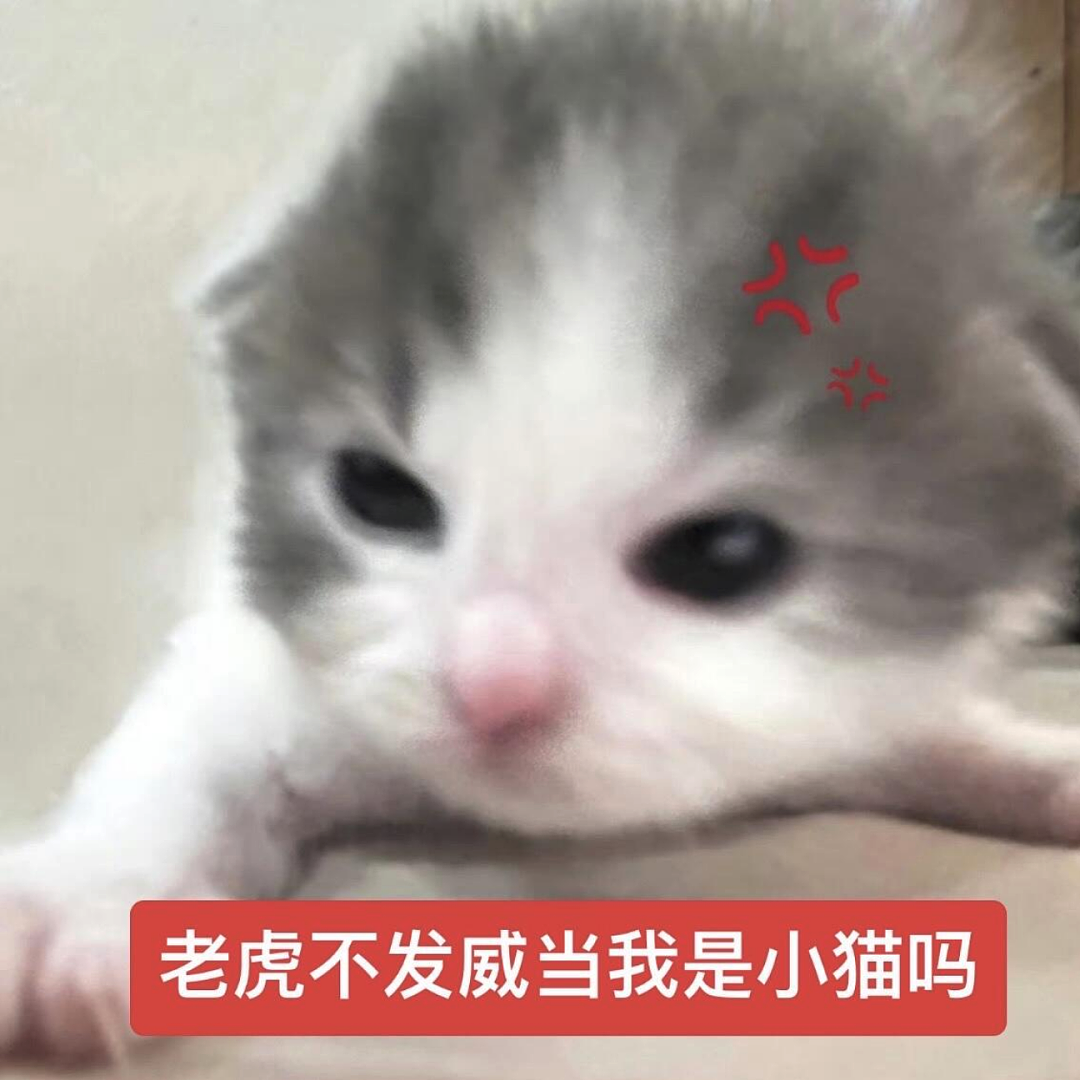 【宠物】小猫咬拖鞋被爸爸揍了,第二天就拍到这一幕,网友笑喷:这猫报复心太强了哈哈哈(组图) - 6