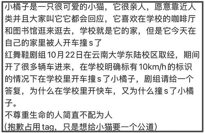 《红舞鞋》风波升级！用脚踩烈士纪念碑还撞死猫，劣迹斑斑遭抵制（组图） - 6