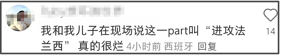 蔡国强烟花遭法国人抗议，现场嘘声一片，官方被抵制商业活动取消（组图） - 12