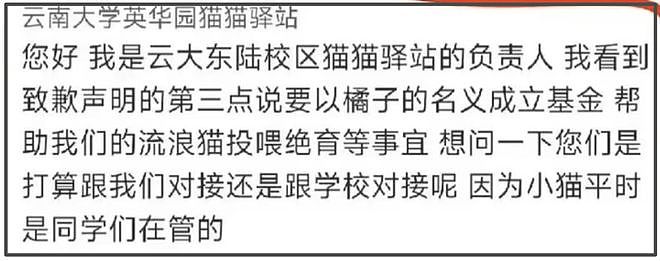 《红舞鞋》风波升级！用脚踩烈士纪念碑还撞死猫，劣迹斑斑遭抵制（组图） - 8