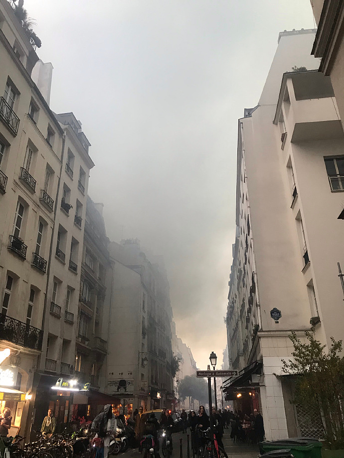 蔡国强烟花遭法国人抗议，现场嘘声一片，官方被抵制商业活动取消（组图） - 7