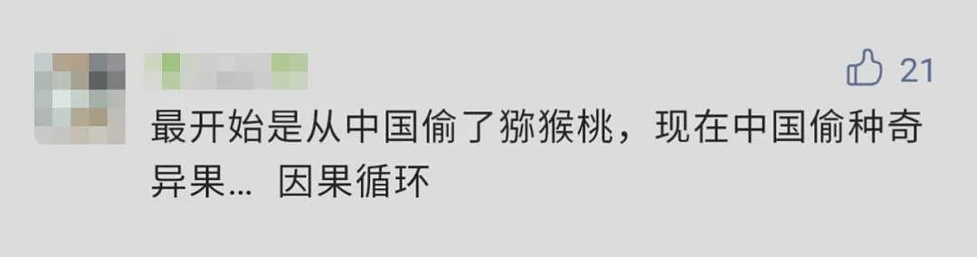 中国农民偷走新西兰“摇钱树”，判赔500多万！网民不服：明明他们先偷（组图） - 20