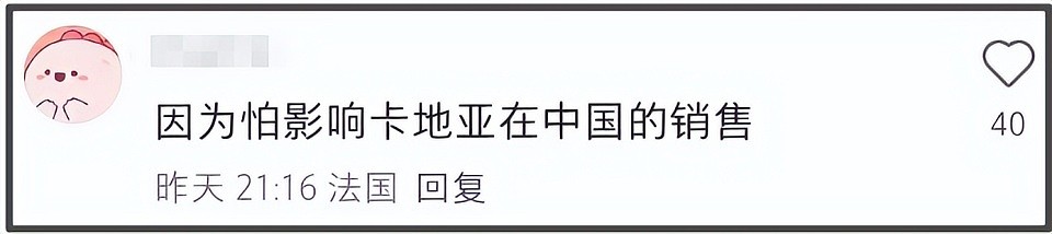 蔡国强烟花遭法国人抗议，现场嘘声一片，官方被抵制商业活动取消（组图） - 17