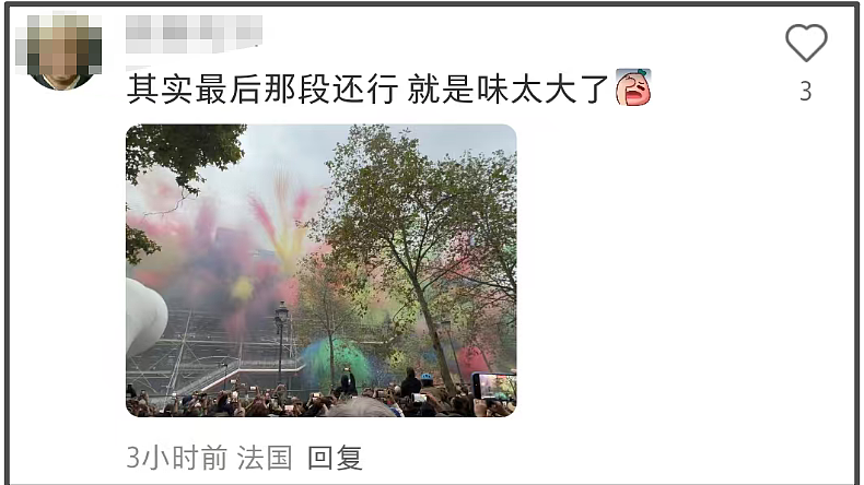 蔡国强烟花遭法国人抗议，现场嘘声一片，官方被抵制商业活动取消（组图） - 10