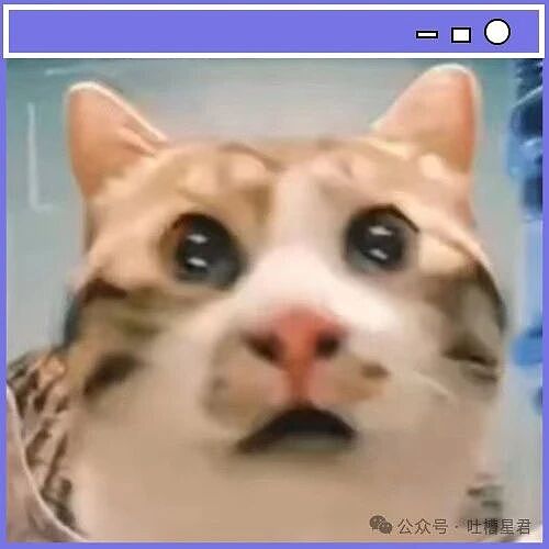 【爆笑】“被逼相亲无奈之下彻底疯狂…?”哈哈哈没有技巧全是骚扰!(组图) - 86