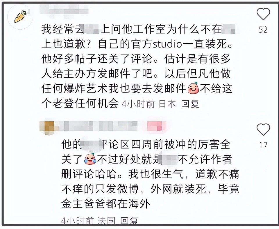 蔡国强烟花遭法国人抗议，现场嘘声一片，官方被抵制商业活动取消（组图） - 18