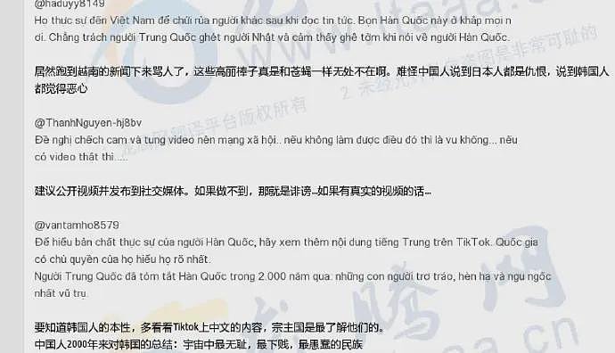 韩国指控越南军官性骚扰韩女公务员,两国网民以“猴子”“棒子”互骂(组图) - 6