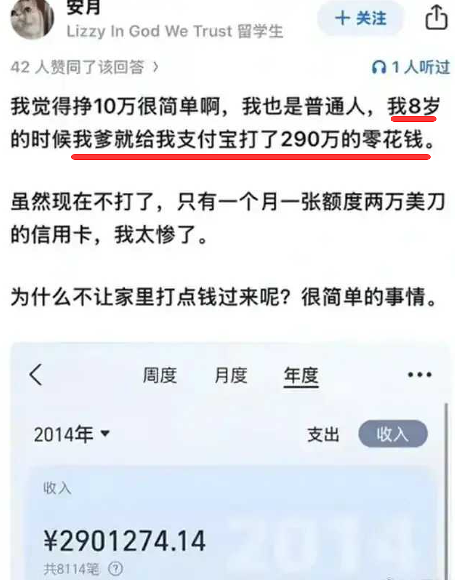 又一条“北极鲶鱼”?中国女留学生网上疯狂炫富,晒外交护照(组图) - 4