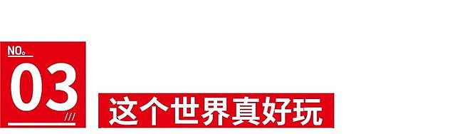 从“断联”到“复联”，蒋龙、张弛经历了什么？（组图） - 14