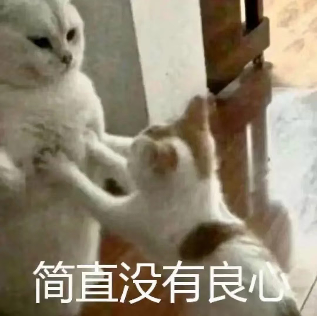 【宠物】小猫咬拖鞋被爸爸揍了,第二天就拍到这一幕,网友笑喷:这猫报复心太强了哈哈哈(组图) - 1
