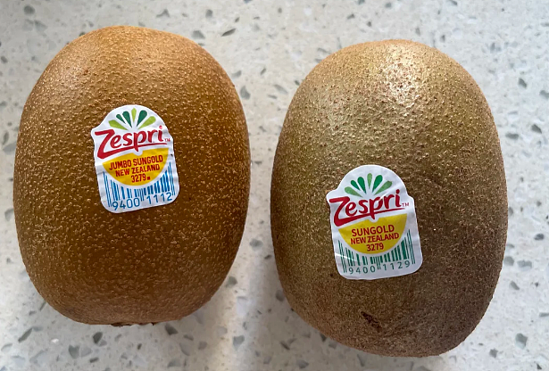中国农民偷走新西兰“摇钱树”，判赔500多万！网民不服：明明他们先偷（组图） - 17