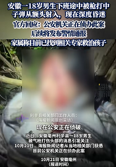 近日安徽18岁男孩深夜遭遇枪击,枪是从哪来的(组图) - 1