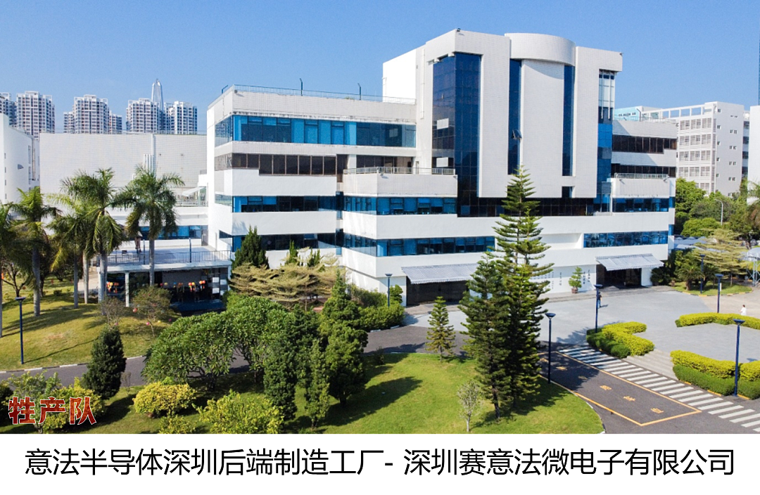 大众汽车被迫停产，荷兰把欧洲车企坑惨了（组图） - 2