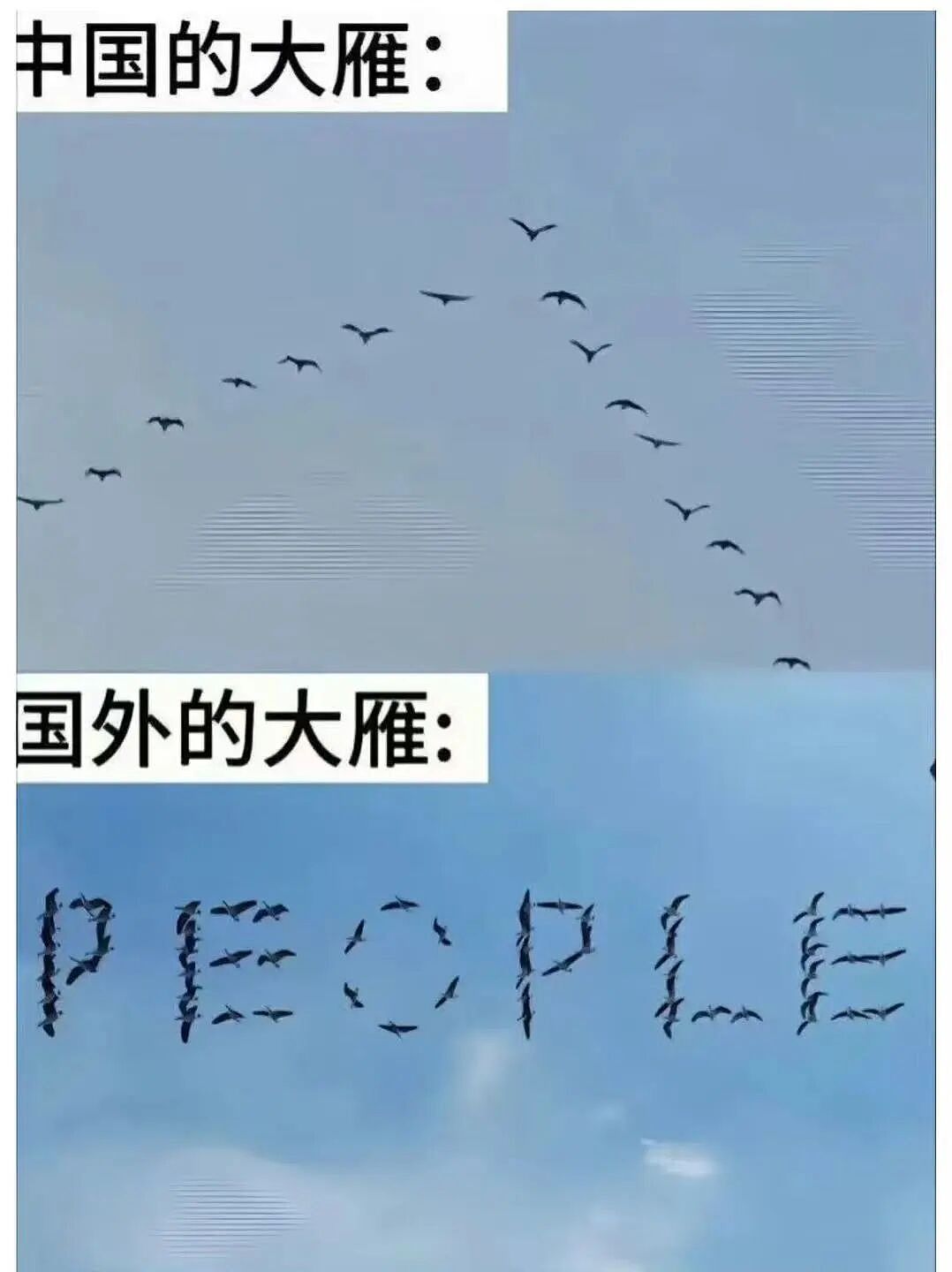 【爆笑】当留子网购想贪点小便宜时…？啊啊啊评论区教训让人太深刻了（组图） - 49