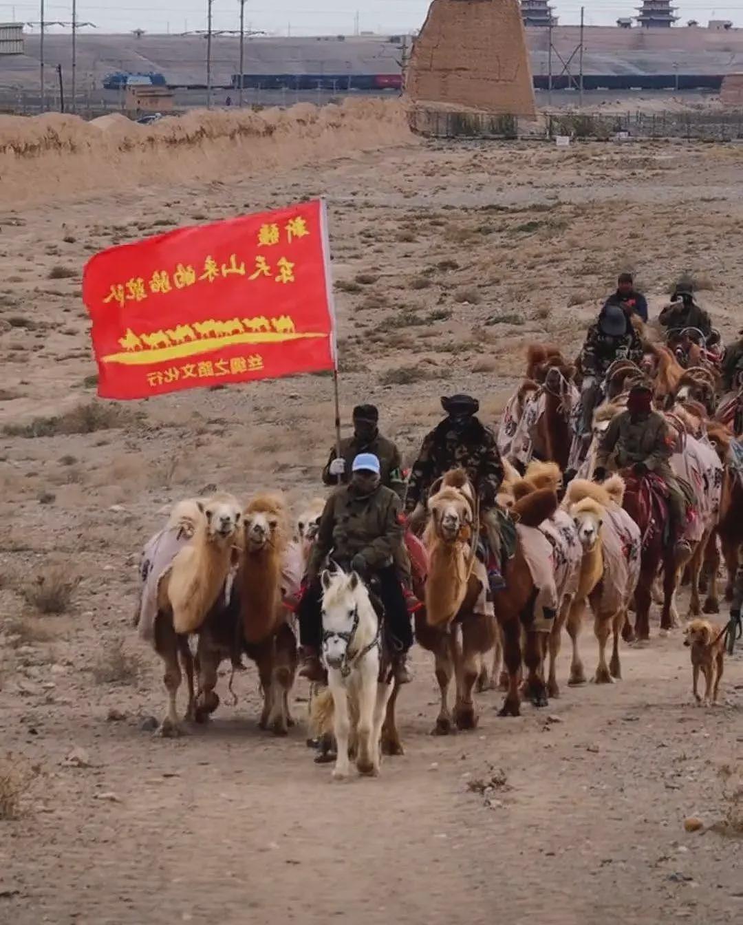 新疆“网红文旅局长”卸任后率30多人驼队去洛阳（组图） - 3
