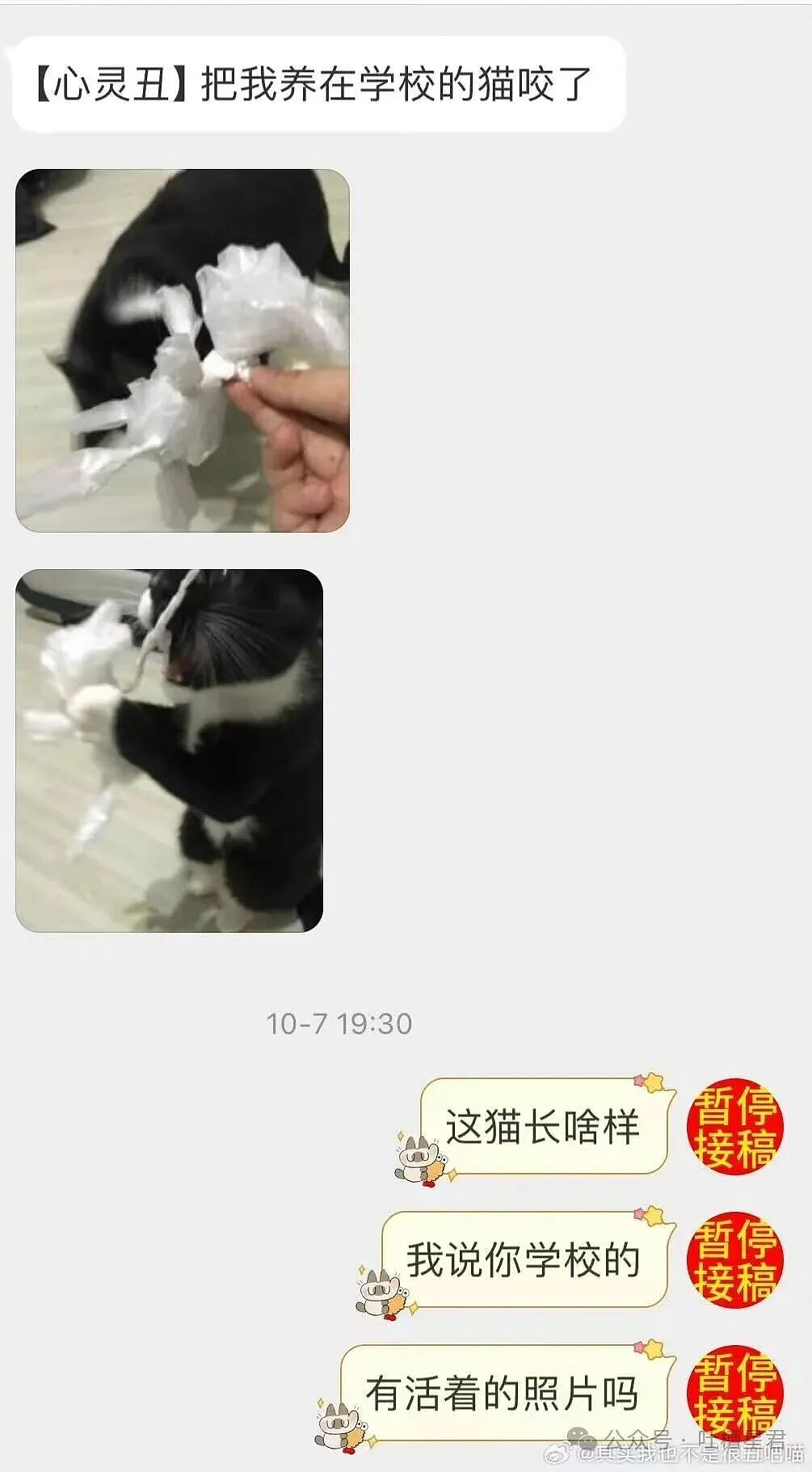 【爆笑】刚和男友订婚就得知他妈妈怀孕了?啊啊啊这孩子到底是谁的(组图) - 33
