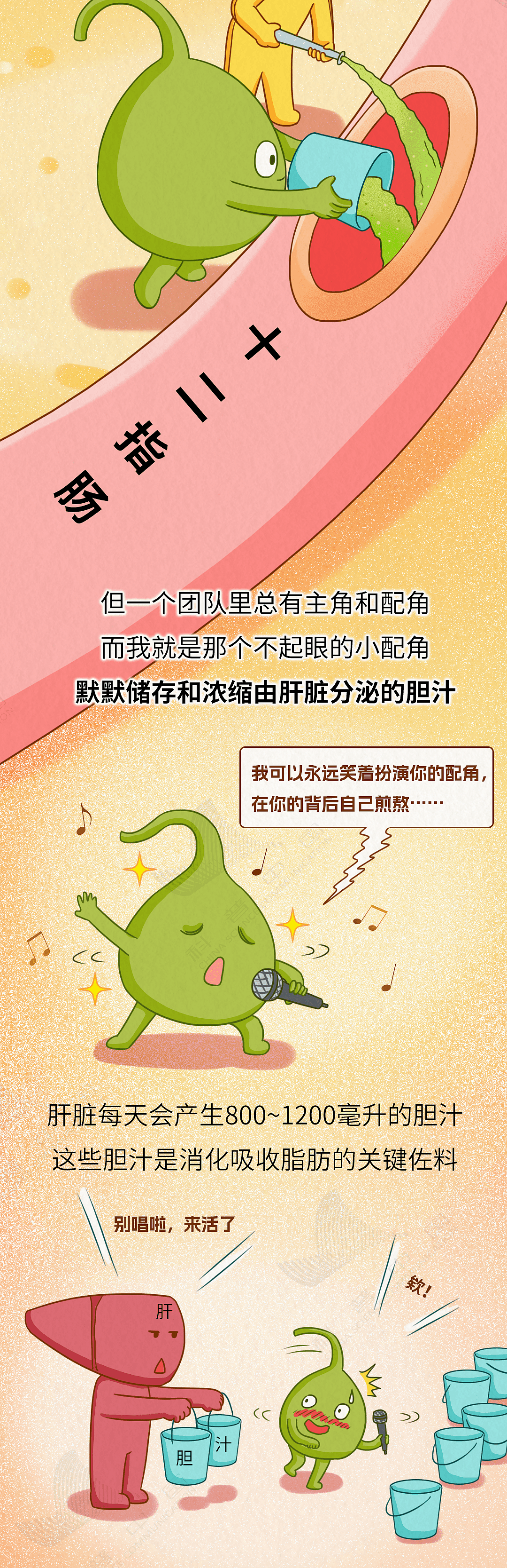 胆就是这样一步步长出结石,而不得不被割掉的(组图) - 3